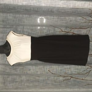Maggy London Black White Formal Career Dress